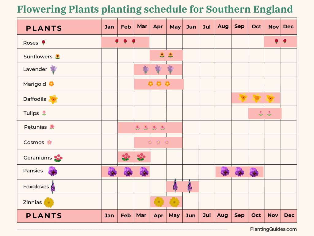 Flowering Plants planting schedule visual chart for Southern England