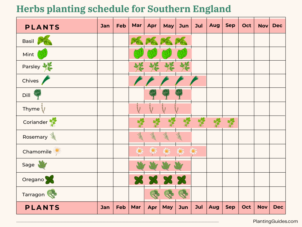 Herbs planting schedule visual chart for Southern England