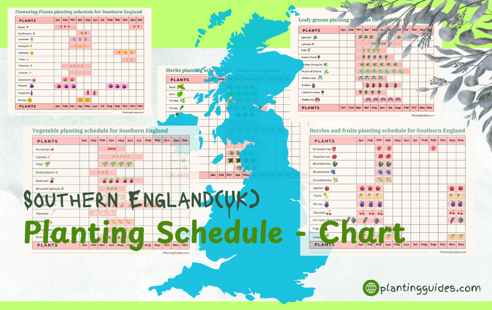 Southern England(UK) Planting Schedule - Chart