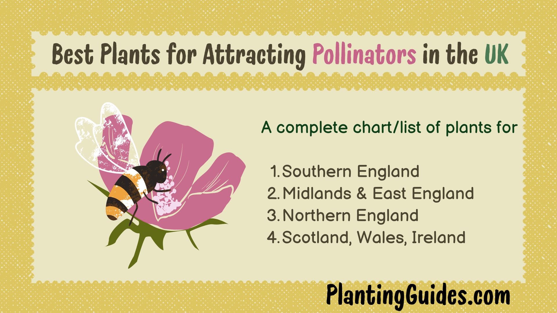 Best Plants for Attracting Pollinators in the UK