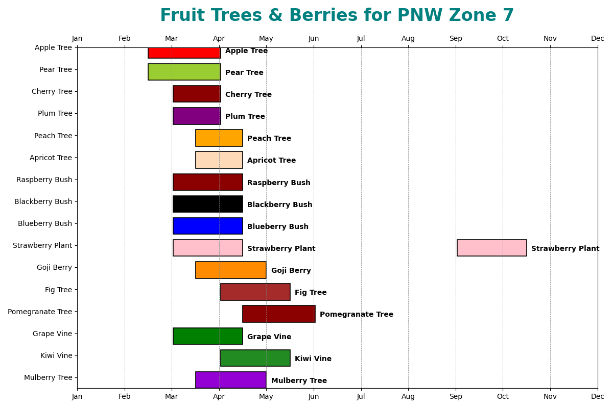 Fruit Trees & Berries for PNW Zone 7