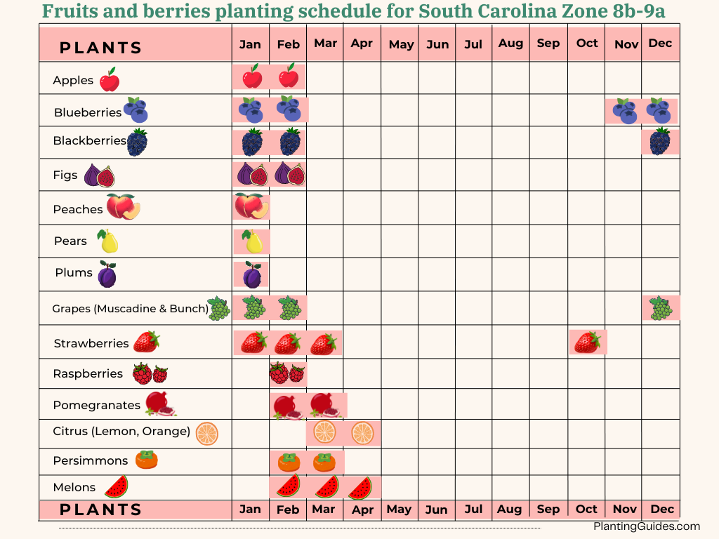 Fruits and berries planting schedule for South Carolina Zone 8b-9a