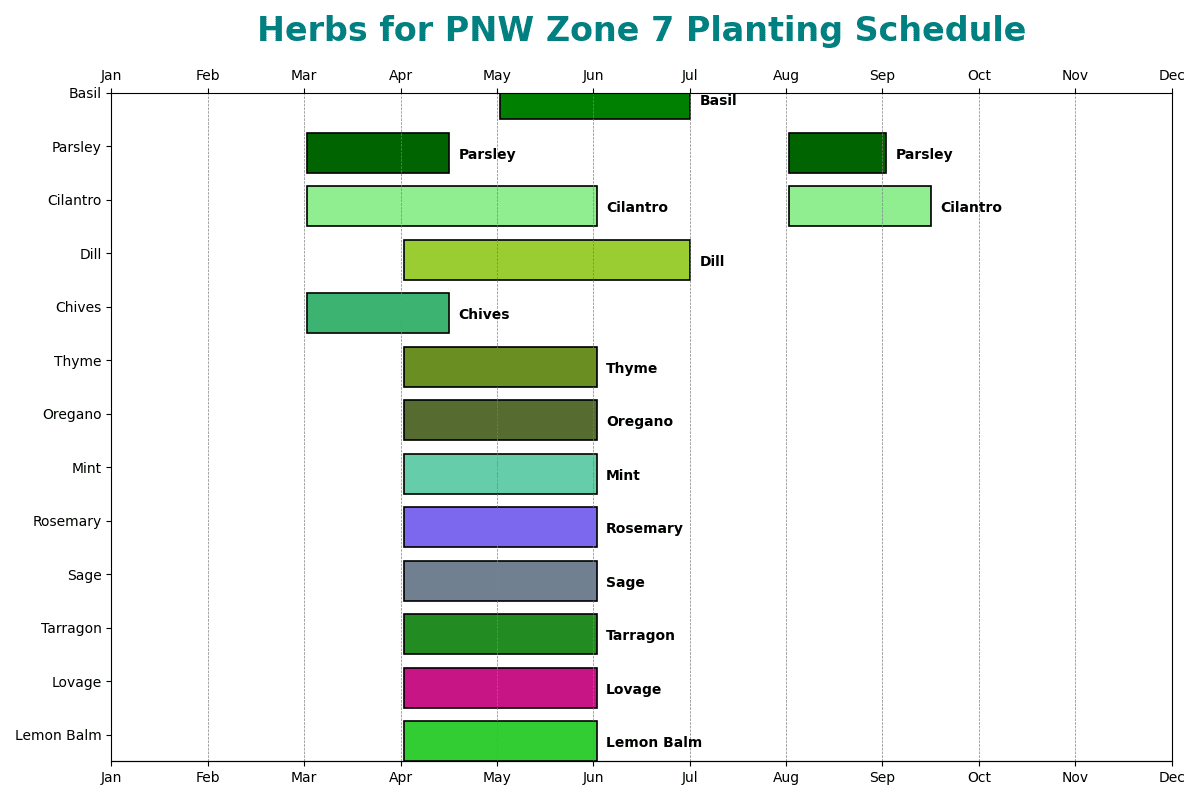 Herbs for PNW Zone 7 Planting Schedule
