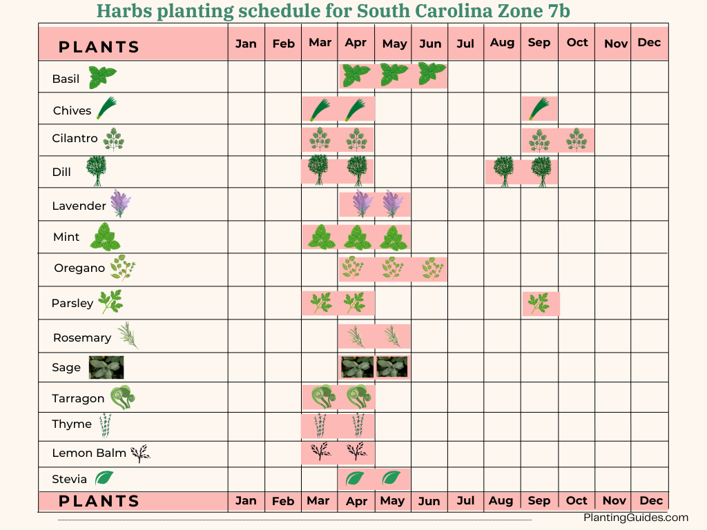 Herbs planting schedule for South Carolina Zone 7b