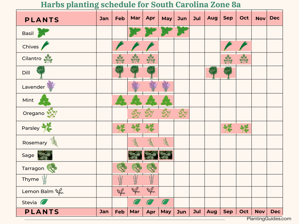 Herbs planting schedule for South Carolina Zone 8a