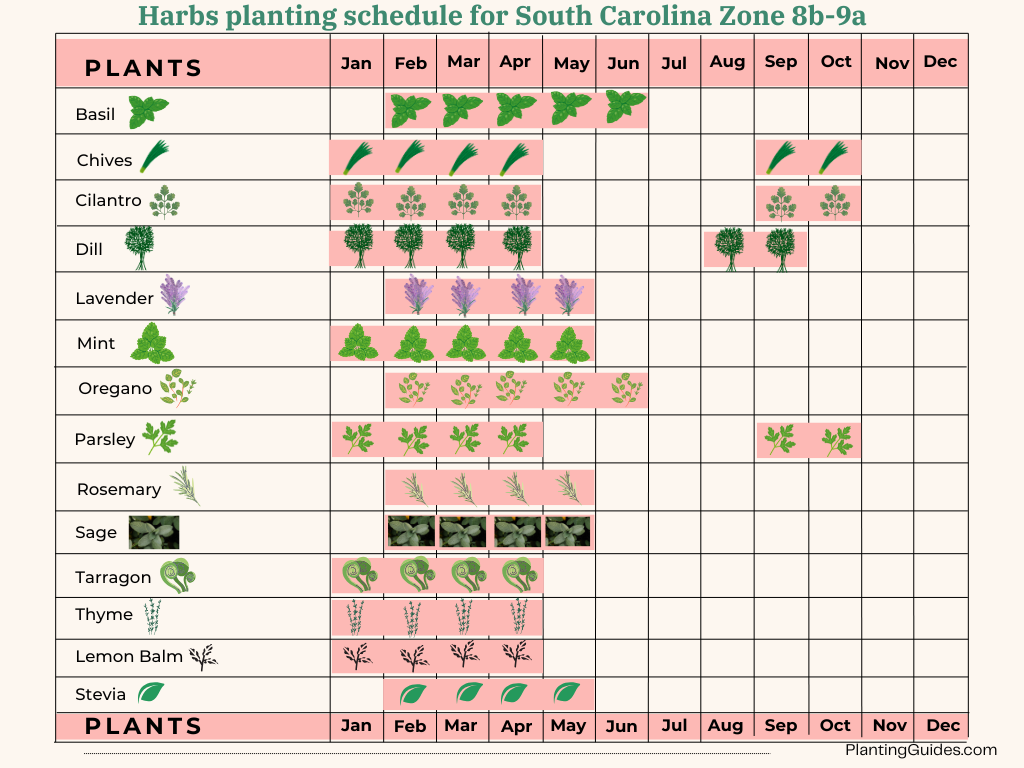 Herbs planting schedule for South Carolina Zone 8b-9a