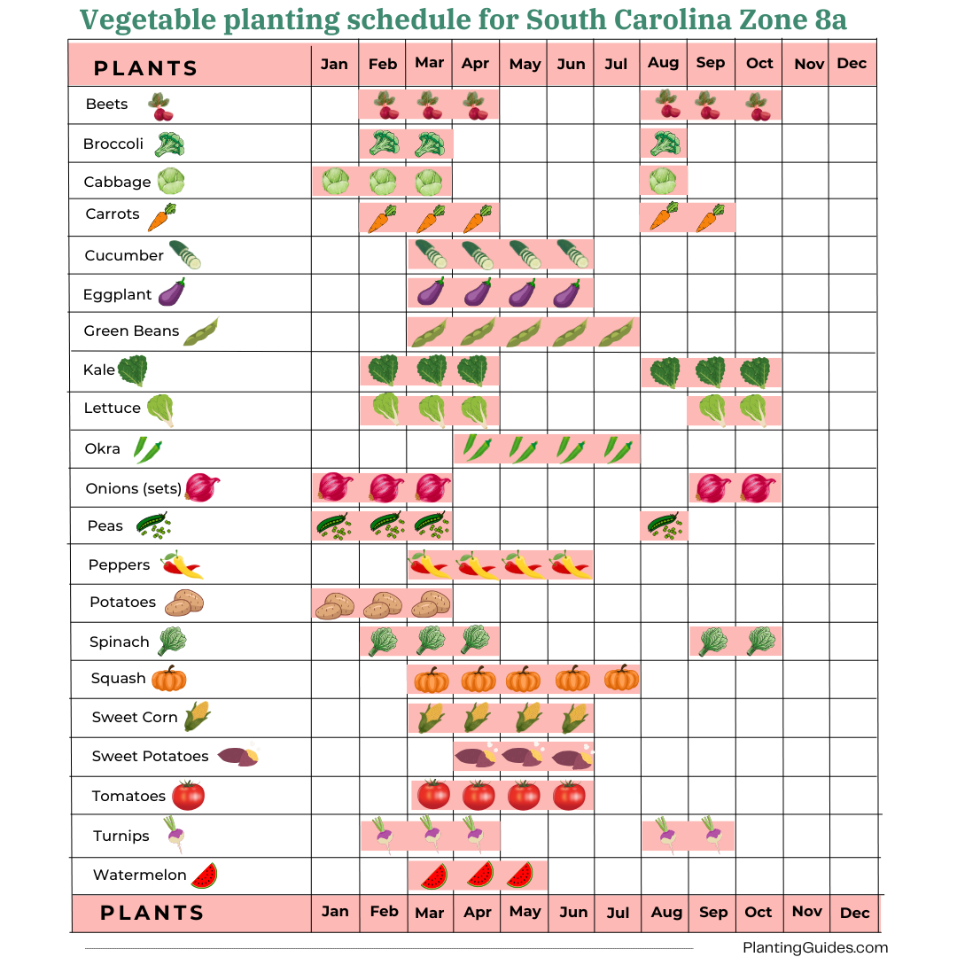 Vegetable planting schedule for South Carolina Zone 8a
