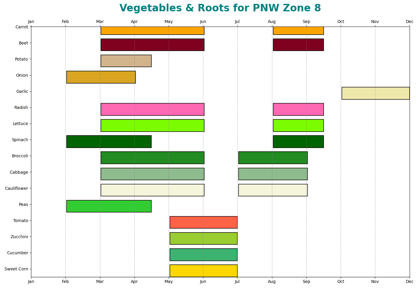 Vegetables & Roots for PNW Zone 8
