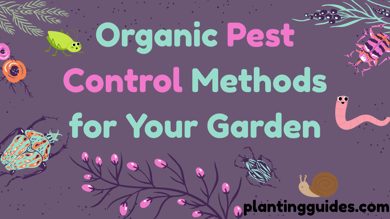 Organic Pest Control Methods
