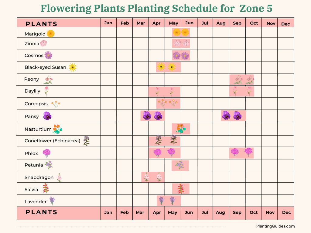 Flowering Plants Planting Schedule for Zone 5