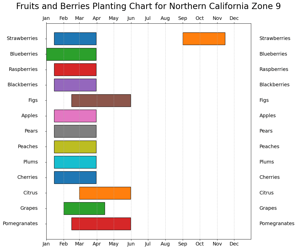 Fruits and Berries Planting Chart for Northern California Zone 9