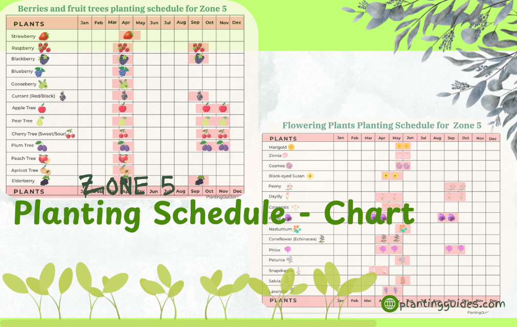 Zone 5 Planting Schedule Charts