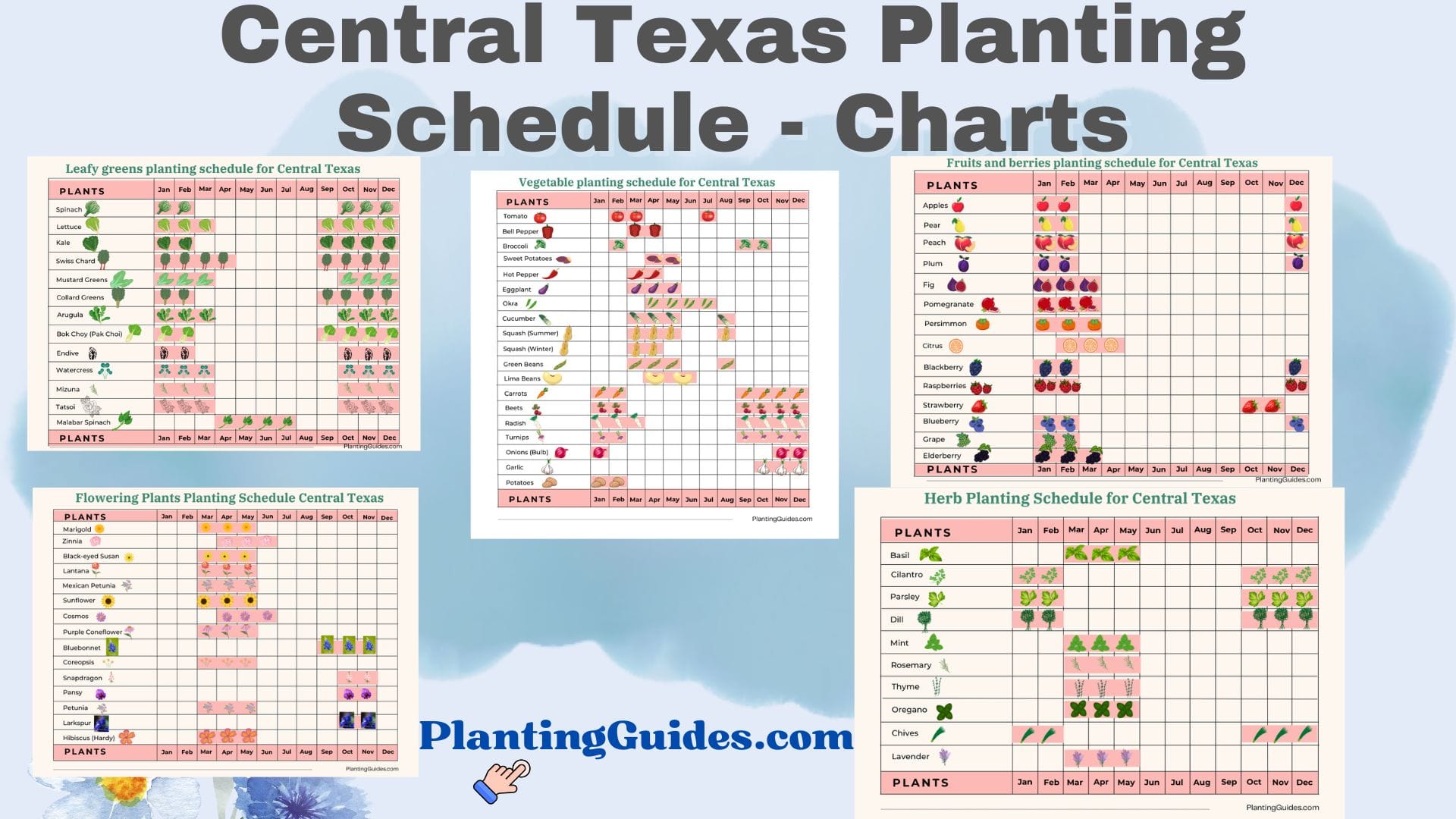 Central Texas Planting Schedule - Charts