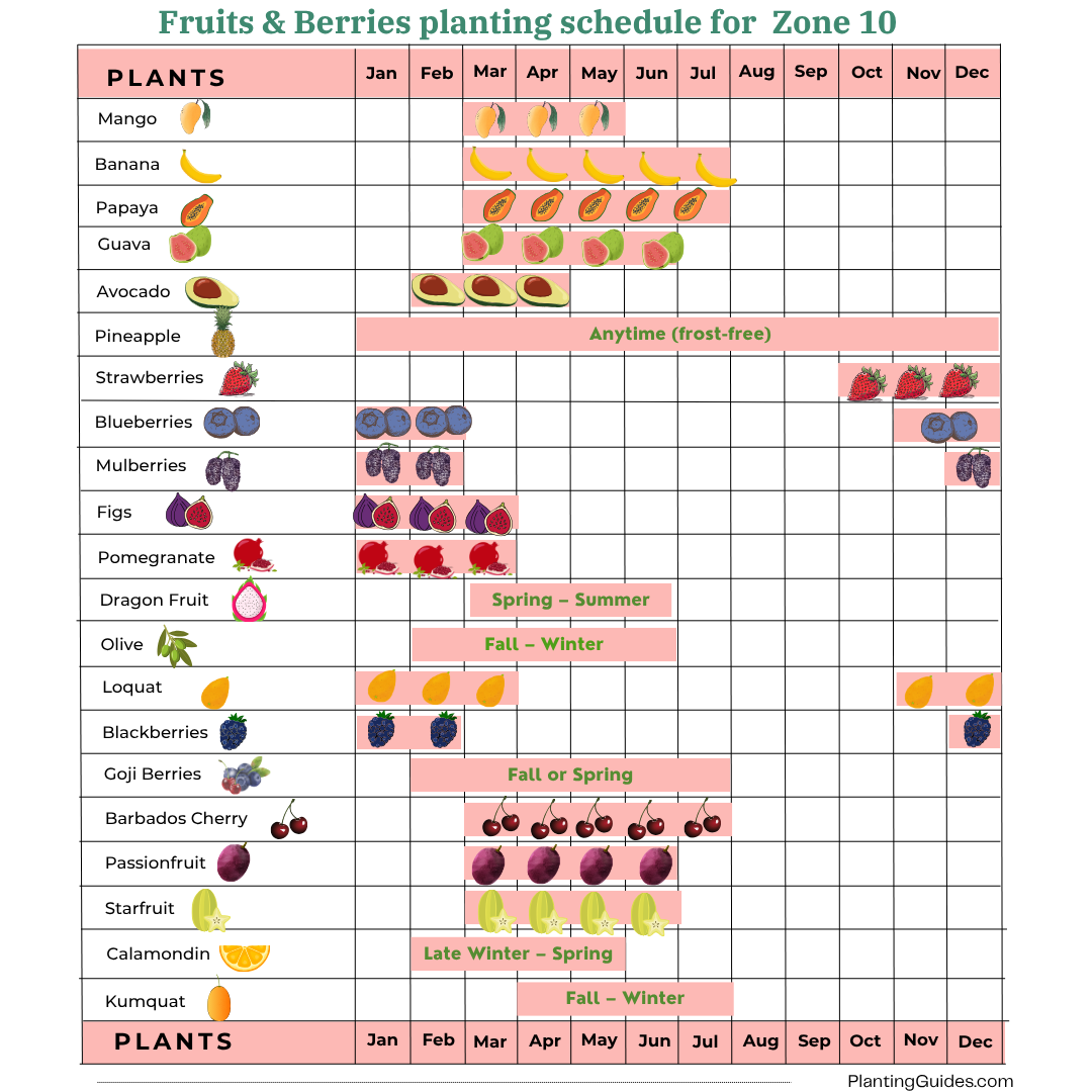 Fruits & Berries planting schedule for  Zone 10