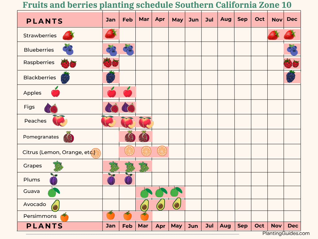 Fruits and berries planting schedule for Southern California Zone 10