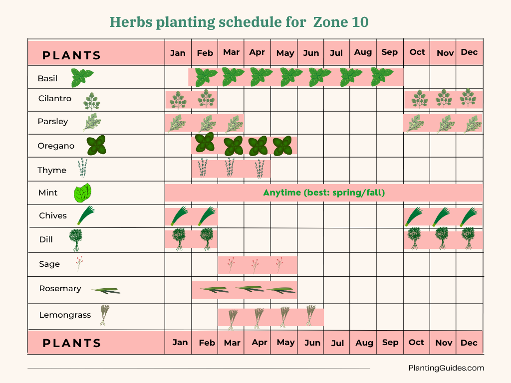 Herbs planting schedule for  Zone 10