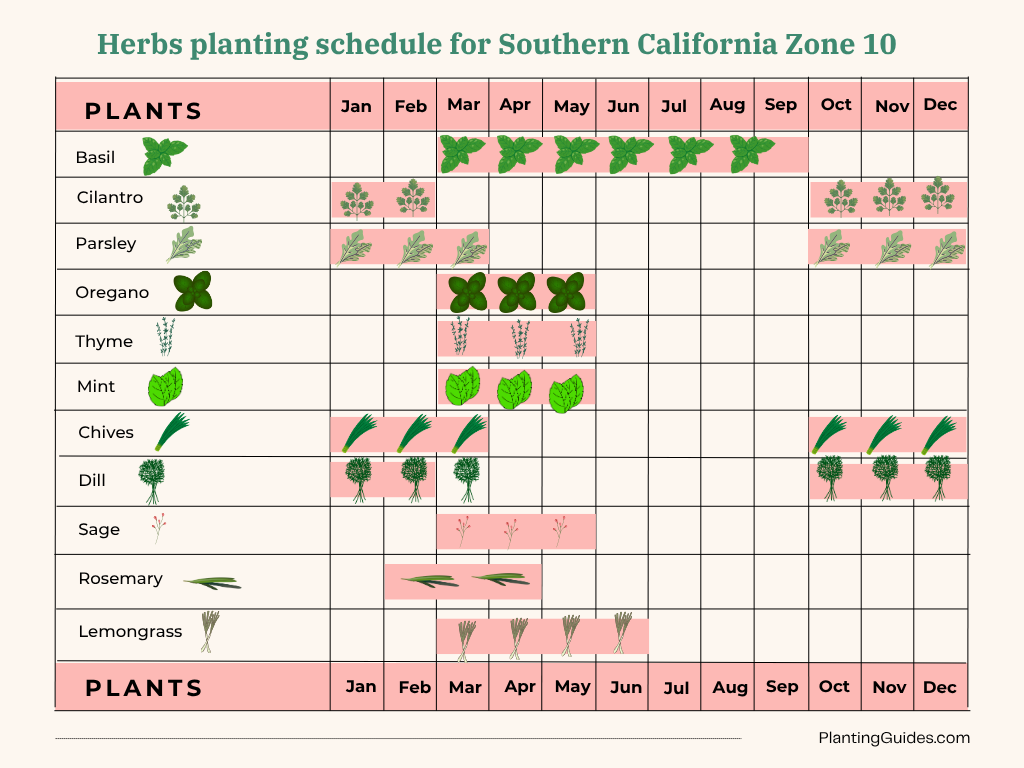 Herbs planting schedule for Southern California Zone 10