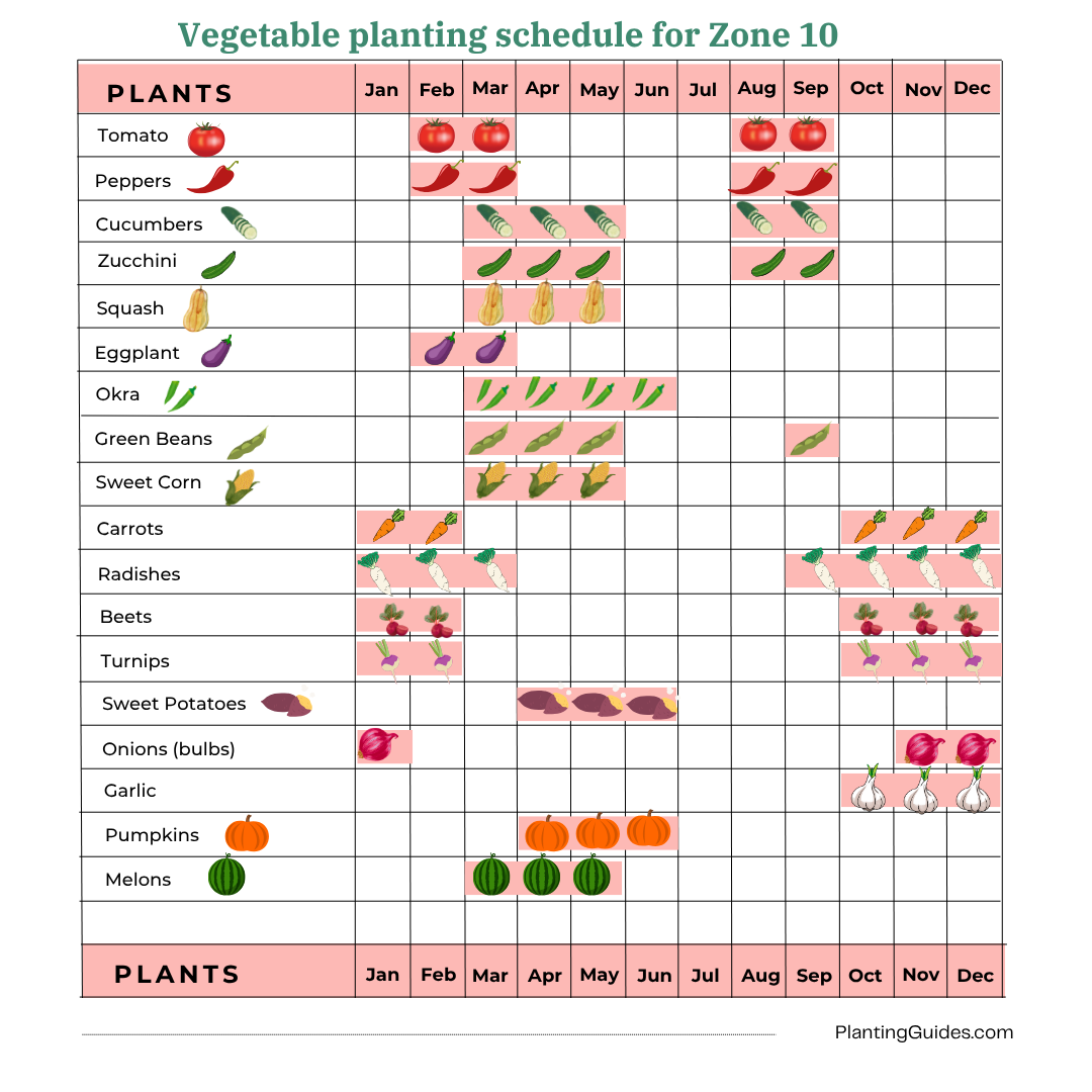 Vegetable planting schedule for Zone 10