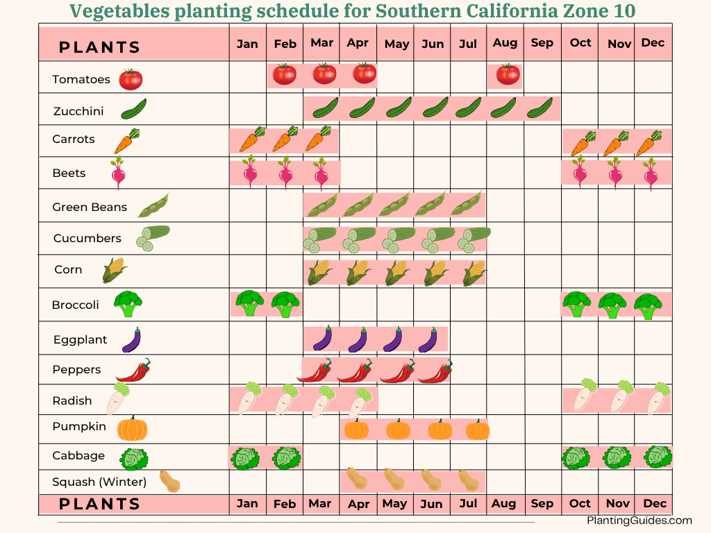 Vegetables planting schedule chart for Southern California Zone 10