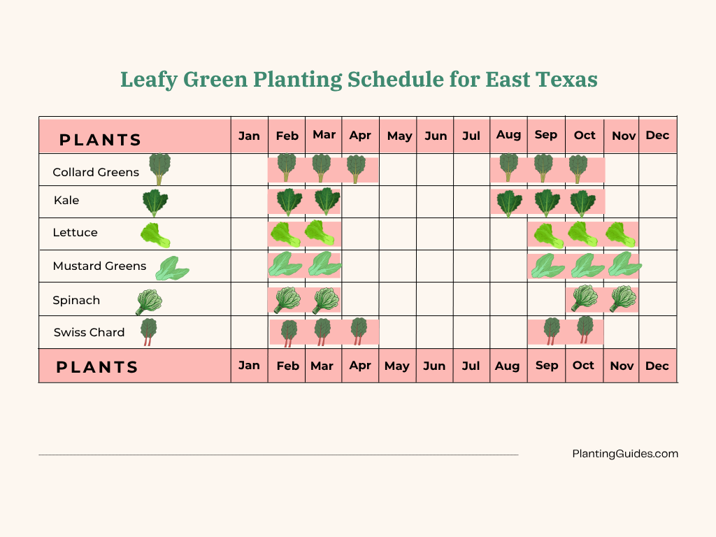 Leafy Green Planting Schedule for East Texas