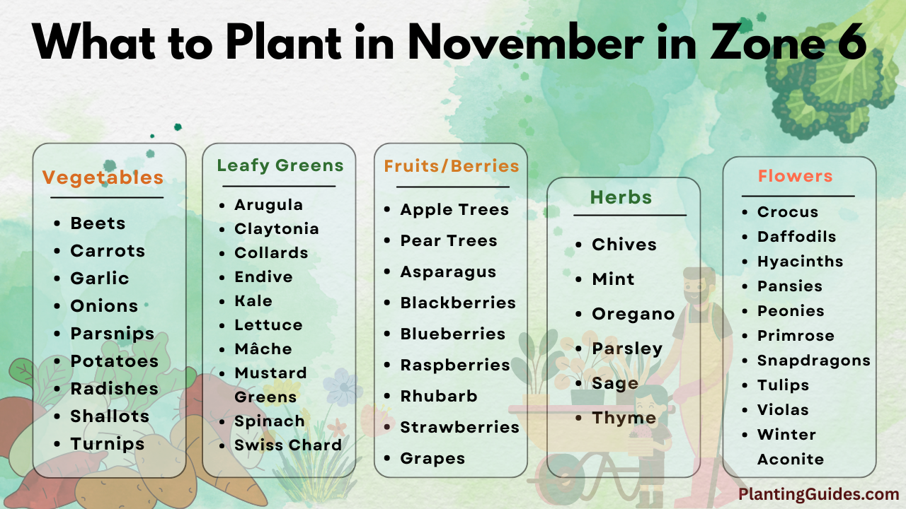 What to Plant in November in Zone 6