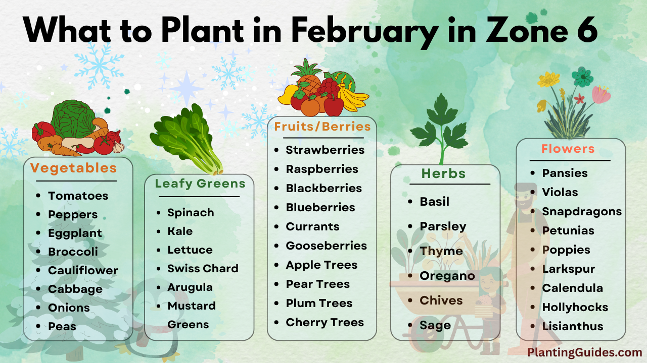 What to Plant in February in Zone 6