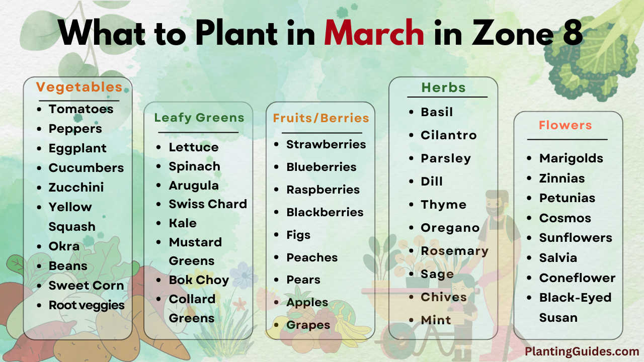 What to Plant in March in Zone 8