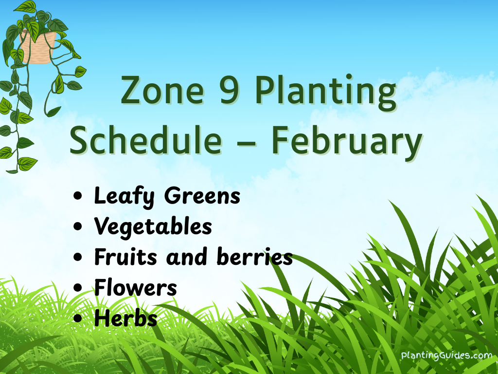 Zone 9 Planting Schedule – February  