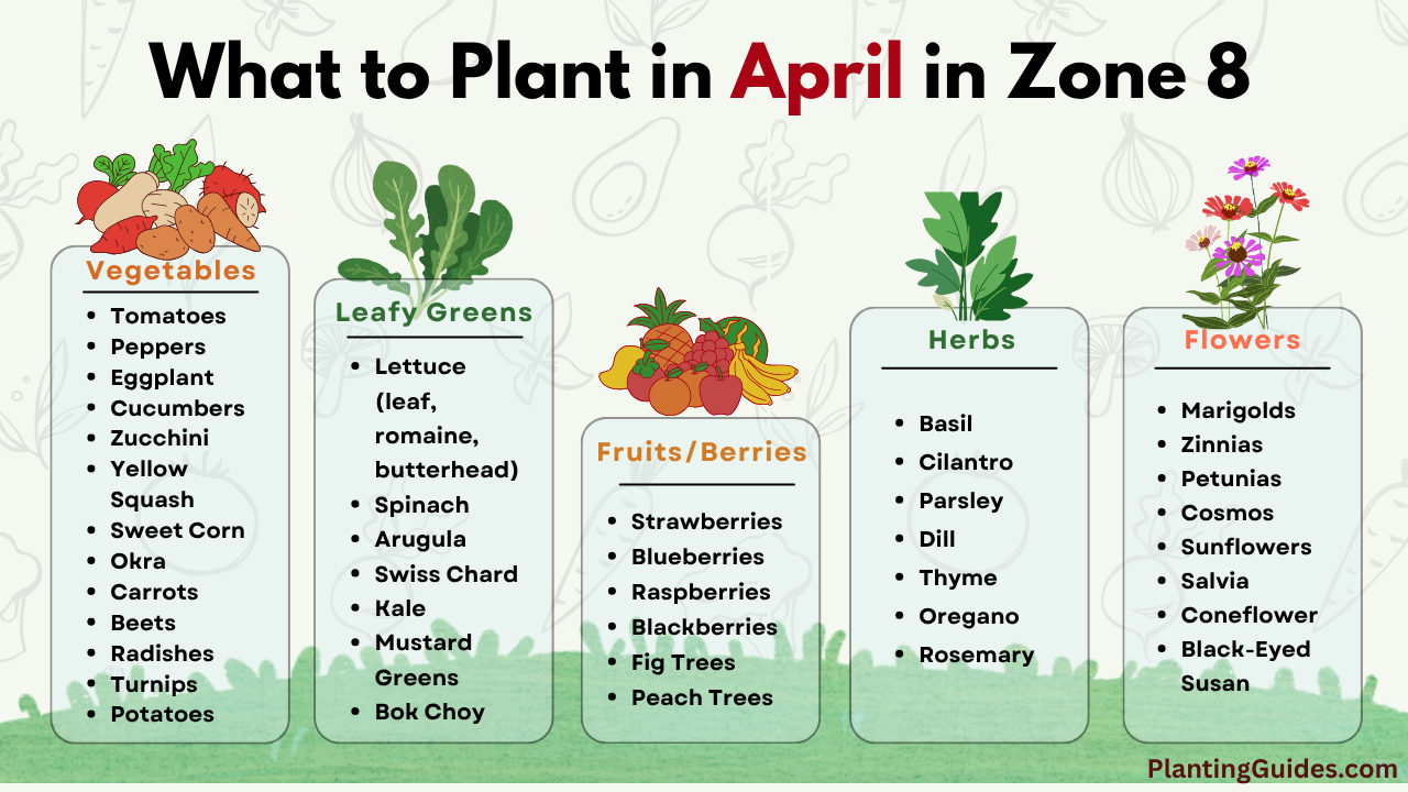 What to Plant in April in Zone 8