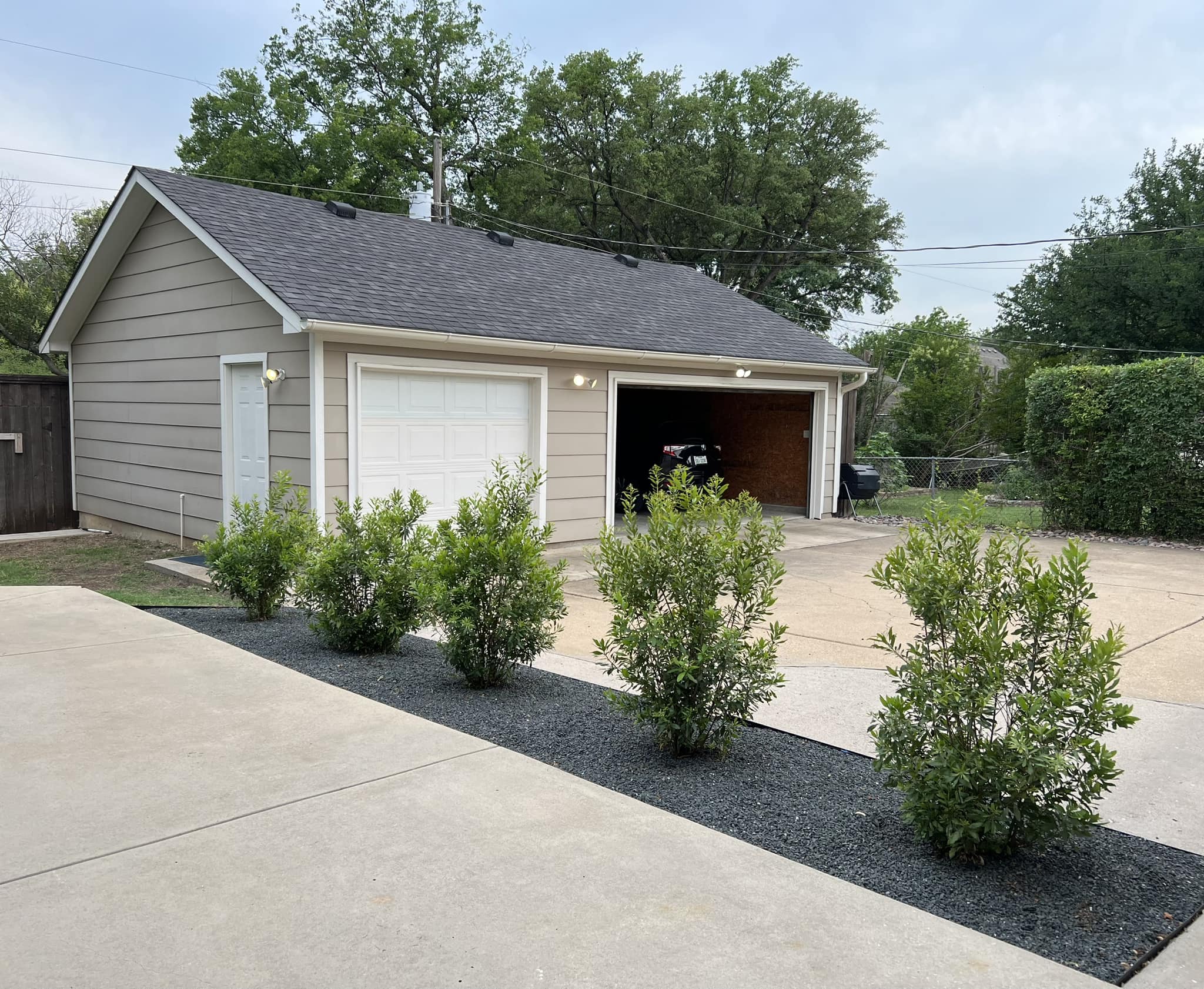 Wax Myrtle as hedge in Zone 8