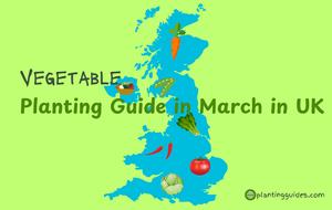 Vegetable Planting Schedule in March in UK