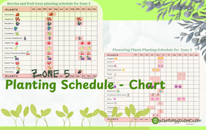 Zone 5 Planting Schedule Charts