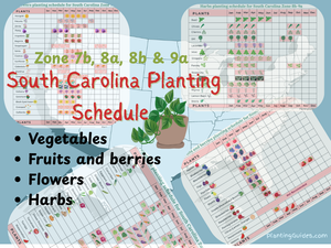 South Carolina Planting schedule chart