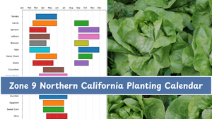 Zone 9 Northern California Planting Calendar