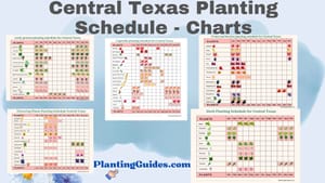 Central Texas Planting Schedule - Charts