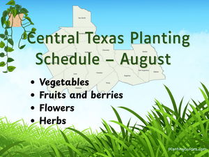 Central Texas Planting Schedule – August