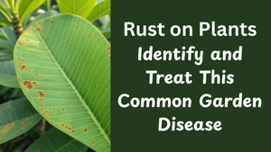 Rust on Plants: Identify and Treat This Common Garden Disease