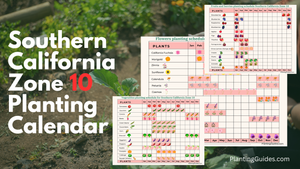 Southern California Zone 10 Planting Calendar