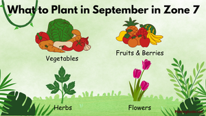 What to Plant in September in Zone 7