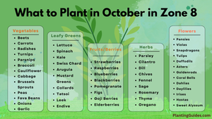 What to Plant in October in Zone 8