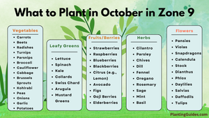 What to Plant in October in Zone 9