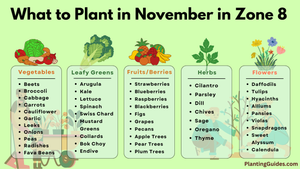 What to Plant in November in Zone 8