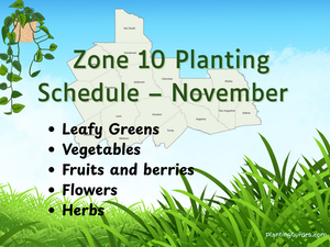 Zone 10 Planting Schedule – November