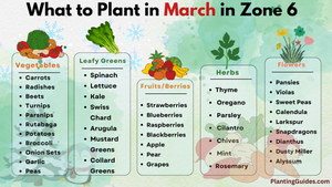 What to Plant in March in Zone 6
