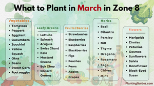 What to Plant in March in Zone 8