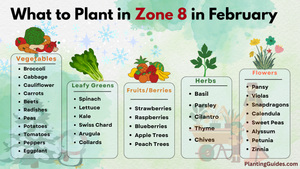 What to Plant in Zone 8 in February
