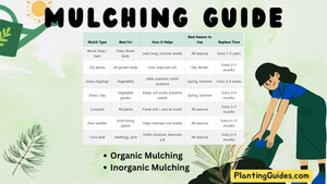 Mulching in Guide