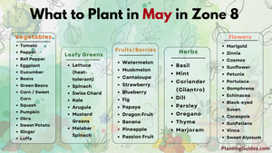 What to Plant in May in Zone 8