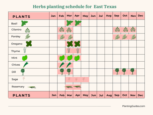 East Texas Planting Schedule Chart